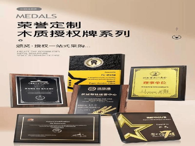 奖牌牌匾定制 奖牌牌匾定制-蓝白极简政务风