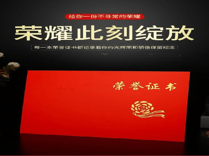 资质证件定制 资质证件定制-蓝白极简政务风